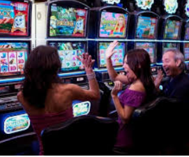 威廉体育2024最新版